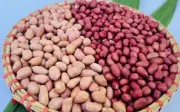 Đậu Phộng: Món Ăn Vặt Giàu Dinh Dưỡng Với Nhiều Công Dụng Bất Ngờ