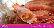 Vỏ tôm có thực sự giàu canxi? Sự thật bất ngờ về dinh dưỡng và lưu ý an toàn