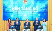 Vận hành nền tảng số về phát triển thị trường nước ngoài cho doanh nghiệp Việt
