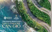 VnExpress Marathon Green Paradise Cần Giờ 2026: Hành Trình Chạm Biển Xuyên Rừng Độc Bản
