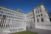 WTO Rơi Vào Bế Tắc, Không Đạt Thỏa Thuận Về Các Vấn Đề Cốt Lõi