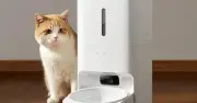 Xiaomi ra mắt Mijia Smart Pet Feeder 2 Visual Edition: Camera hồng ngoại và AI nhận diện thú cưng