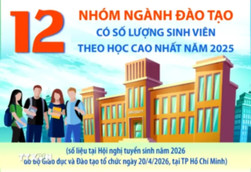 12 nhóm ngành đào tạo có số lượng sinh viên theo học cao nhất năm 2025