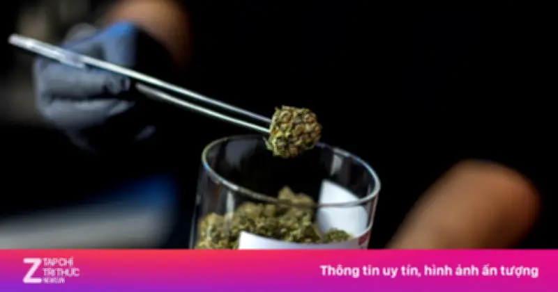 22 nhà sư bị bắt vì buôn lậu hơn 100 kg cần sa từ Thái Lan vào Sri Lanka