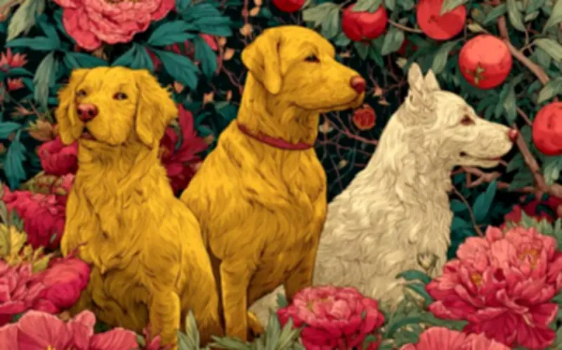 3 Cặp Đôi Con Giáp Trời Sinh Hòa Hợp, Sống Đến Già Vẫn Ngọt Ngào