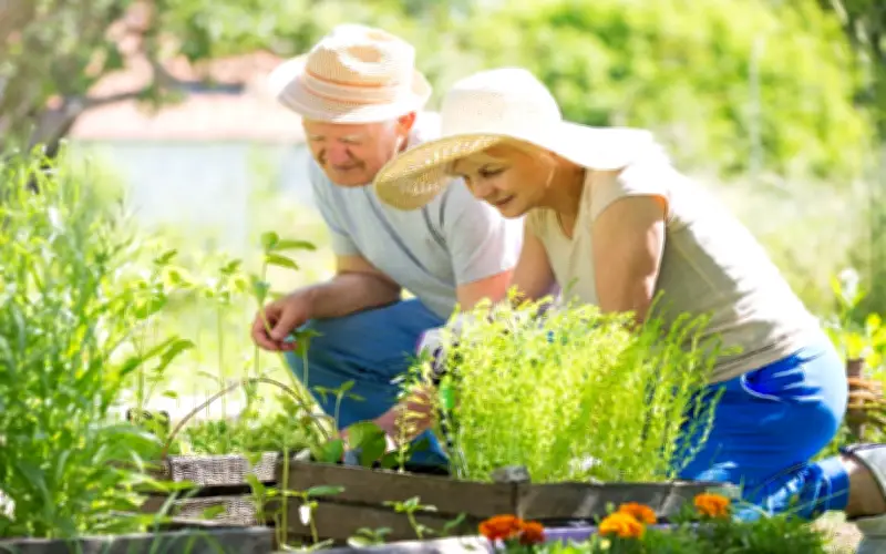 3 Hành Vi Quyết Định Tuổi Thọ: Tập Thể Dục Đúng Thứ Ba, Ngủ Đủ Thứ Hai, Điều Đầu Tiên Nhiều Người Không Làm Được