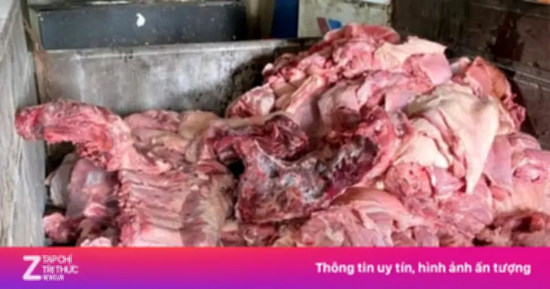 300 Tấn Thịt Heo Bệnh Vào Trường Học: Cơ Quan Chủ Quản Lên Tiếng Giải Trình