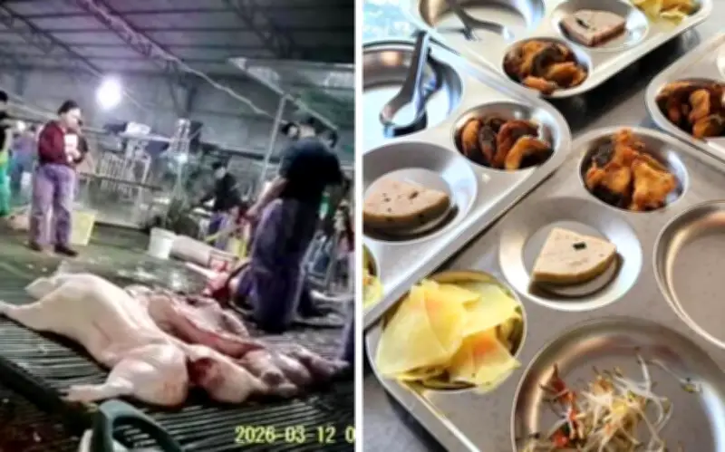 300 Tấn Thịt Lợn Bẩn Tuồn Vào Trường Học: Phụ Huynh Rụng Rời, Hệ Thống Kiểm Dịch Bị 'Bảo Kê'