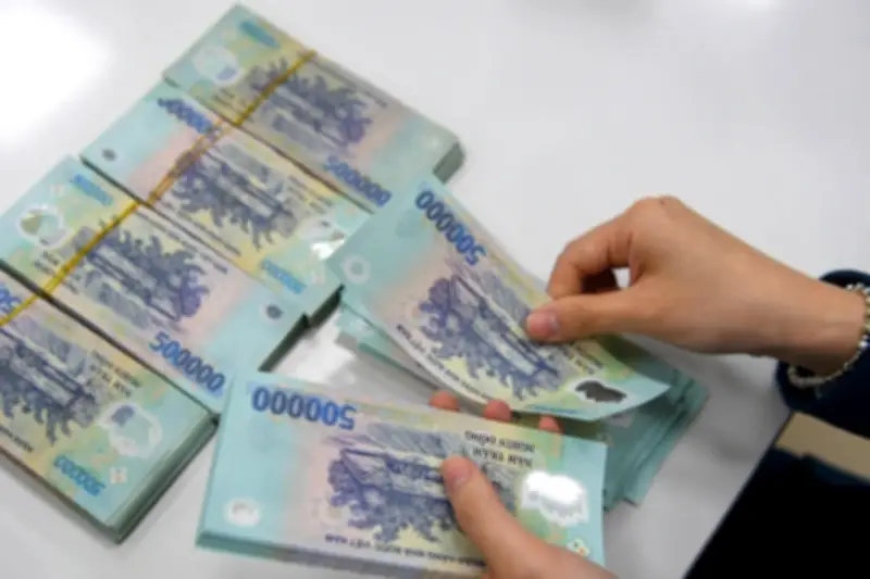 4 doanh nghiệp chi trả cổ tức khủng, tổng giá trị vượt 1.100 tỷ đồng