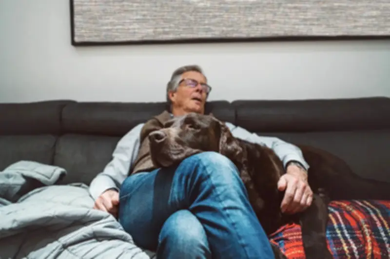 4 Rối Loạn Giấc Ngủ Có Thể Là Dấu Hiệu Cảnh Báo Sa Sút Trí Tuệ Sớm