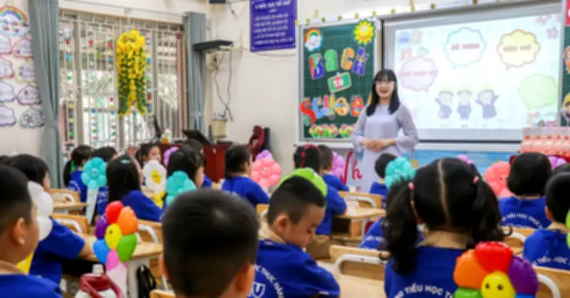 5 Phường/Xã TPHCM Trang Trường THCS Công Lập, Học Sinh Sẽ Học Ở Đâu?