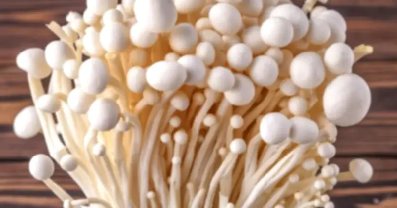 6 loại rau quen thuộc dễ 'ngậm' thuốc trừ sâu nhất: Cách lựa chọn và sơ chế an toàn