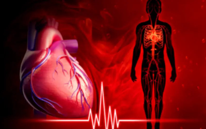 7 Cách Tăng Cường Sức Khỏe Tim Mạch: Bảo Vệ Trái Tim Từ Sớm