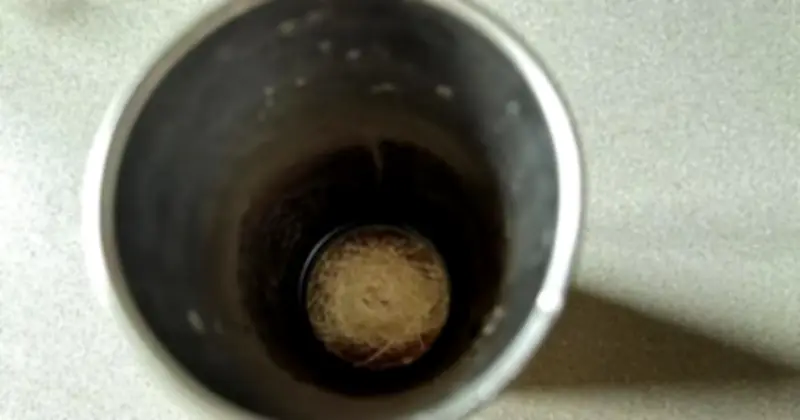 9 Thói Quen Dọn Dẹp Tưởng Sạch Nhưng Lại Khiến Vi Khuẩn Lan Tràn Trong Nhà