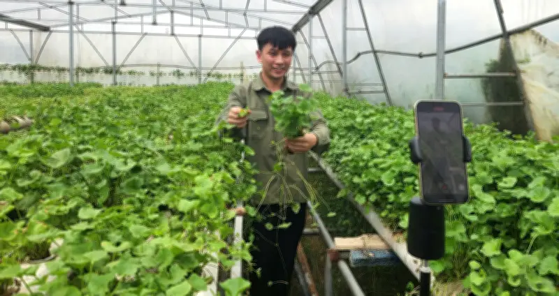 9x Quảng Ninh từ bỏ 3 tỷ đồng để trồng rau mầm, thu 50 triệu mỗi tháng