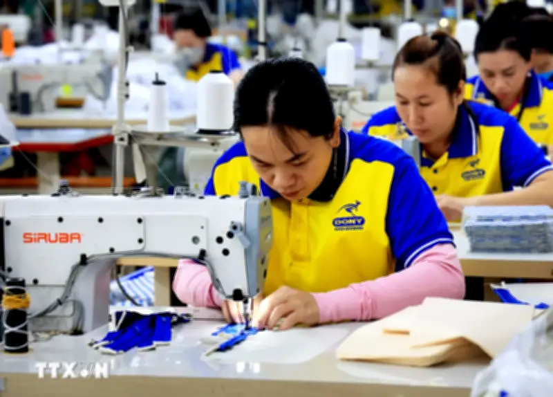 AMRO: Kinh tế Việt Nam duy trì đà tăng trưởng mạnh mẽ giữa bất ổn toàn cầu