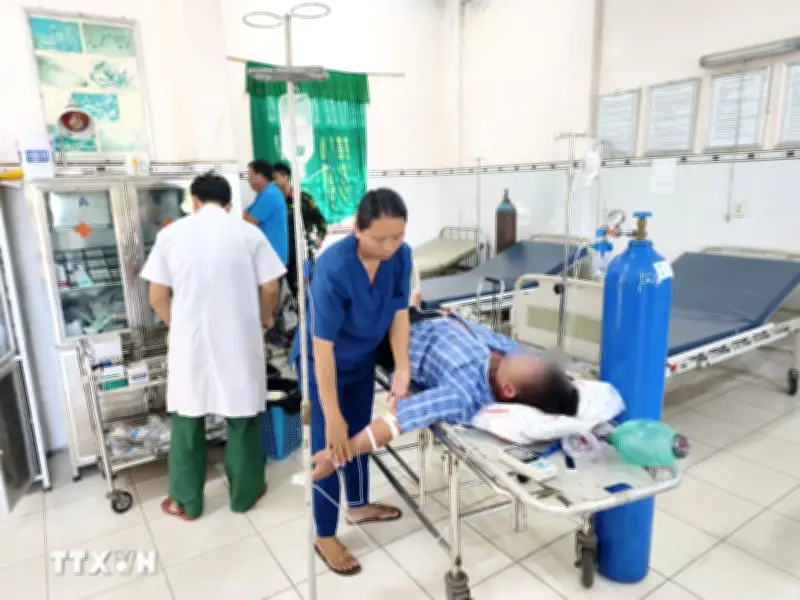 An Giang cấp cứu thành công 3 trường hợp sốc phản vệ do bị ong đốt