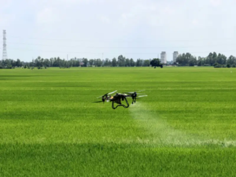 An Giang mở hướng đi mới thực hiện đề án 1 triệu ha lúa chất lượng cao