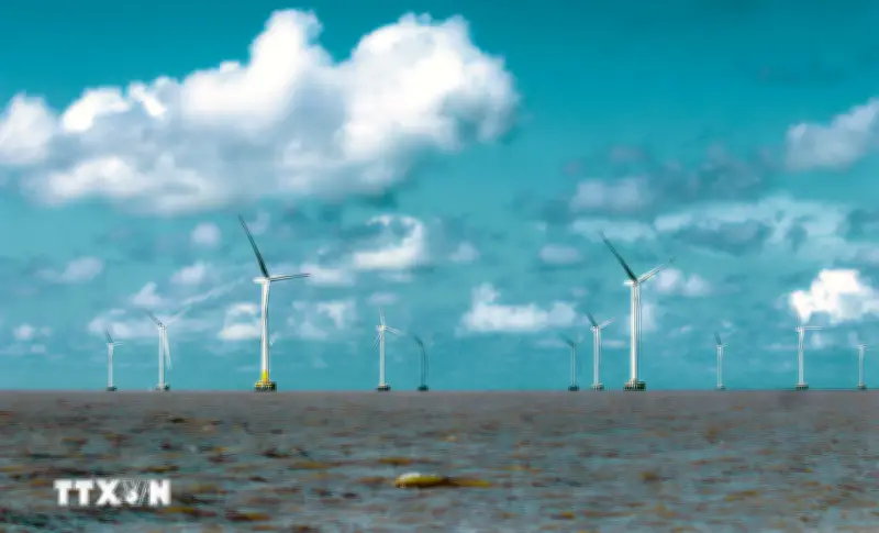 An ninh năng lượng: Con đường chuyển đổi bền vững cho Việt Nam