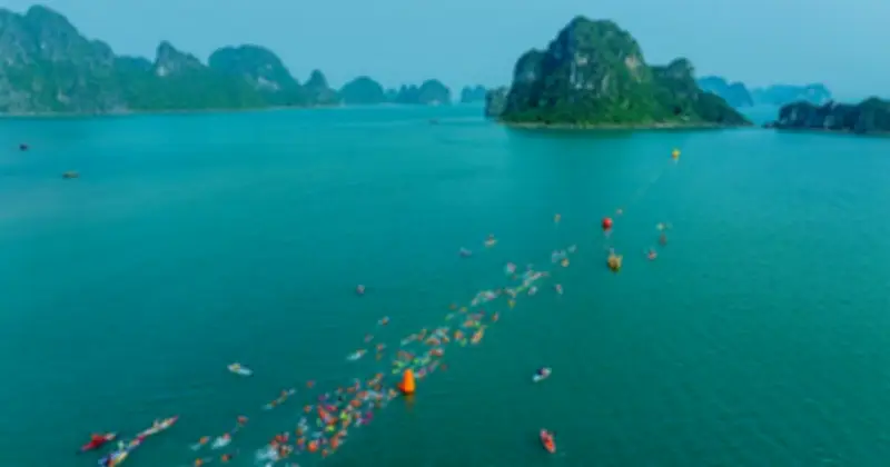 Aqua Warriors Halong Bay 2026: Hành Trình Chinh Phục Giới Hạn Giữa Thiên Nhiên Hùng Vĩ