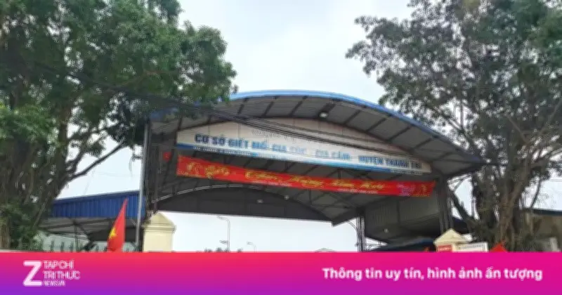 Bộ GD&ĐT ra chỉ đạo kiểm tra toàn diện suất ăn học đường trên cả nước