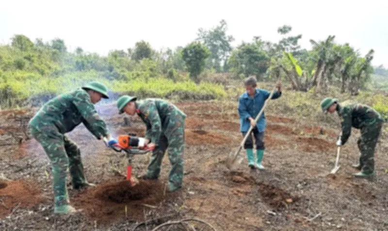 Bộ đội Điện Biên hỗ trợ nhân dân đào hố trồng cà phê, mắc ca trong chiến dịch nông nghiệp