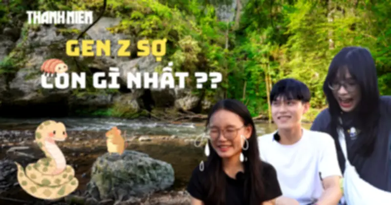 Bí Mật Gen Z: Thế Hệ Trẻ Việt Sợ Nhất Điều Gì Trong Cuộc Sống?
