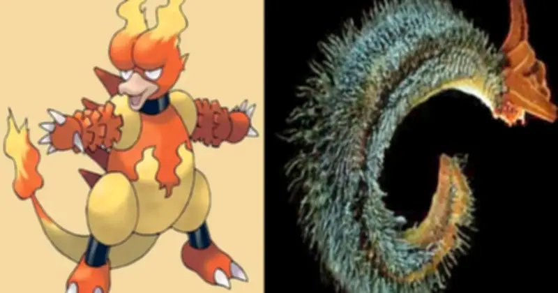 Bí ẩn 7 loài động vật thực tế sở hữu siêu năng lực giống Pokémon huyền thoại
