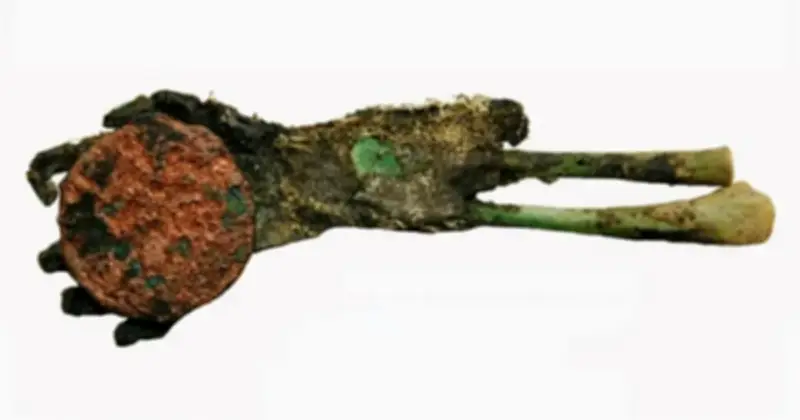 Bí ẩn khảo cổ: Bàn tay xanh nắm đồng xu tại nghĩa trang Hungary