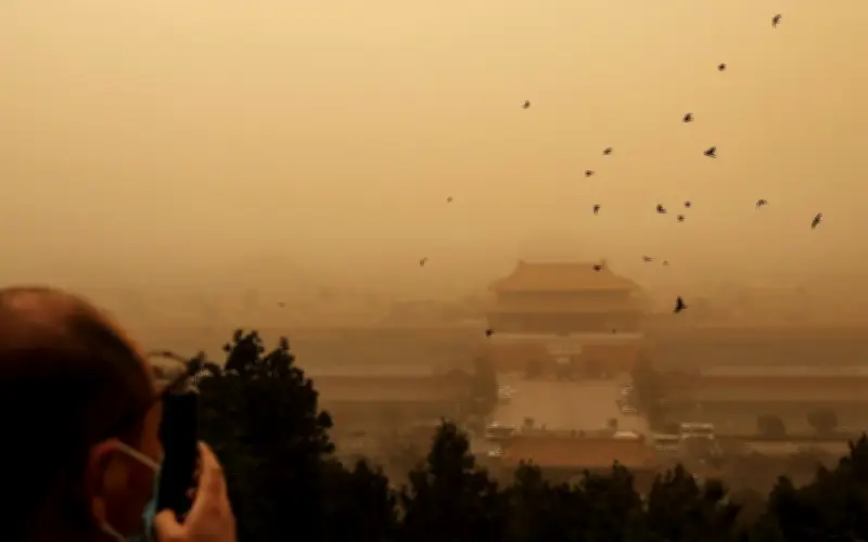 Bí Ẩn Đàn Quạ Đêm Ở Tử Cấm Thành: Khoa Học Lý Giải Hiện Tượng Kỳ Lạ