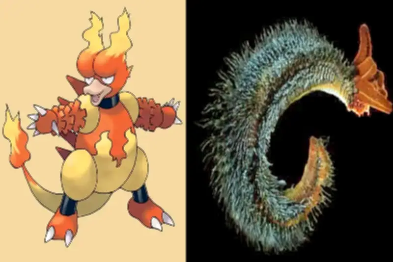 Bí ẩn về 7 loài động vật có sức mạnh tương đồng với Pokemon huyền thoại