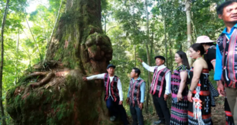 Bí ẩn vương quốc gốc cây ngàn tuổi được người cổ tôn sùng như bảo vật thiêng