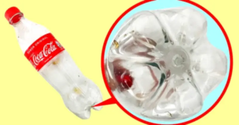 Bí ẩn đáy chai nước ngọt: Công nghệ cánh hoa thông minh tiết kiệm chi phí và đảm bảo an toàn