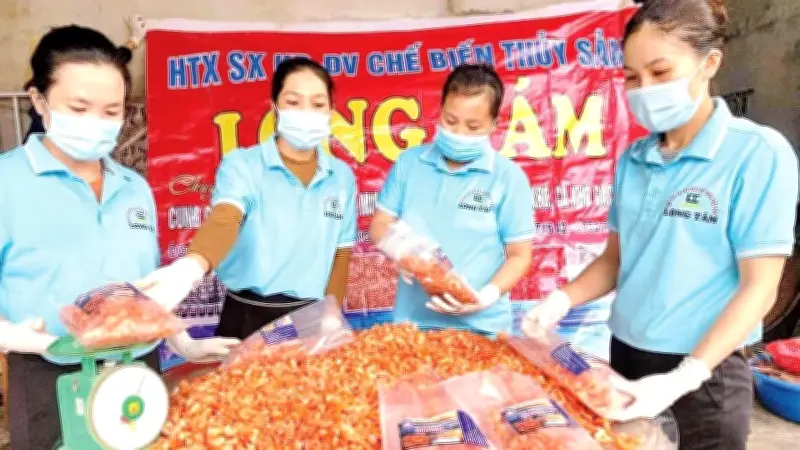 Bà Đào Thị Tám và Hành Trình Biến Hải Sản Địa Phương Thành Sản Phẩm OCOP Danh Tiếng