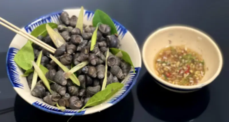 Bí quyết chọn ốc tươi ngon và luộc ốc chuẩn vị, không bị nhiều con