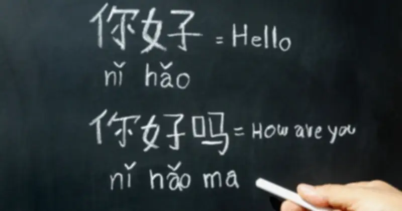 Bí Quyết Học Tiếng Trung Hiệu Quả Từ Chuyên Gia Đa Ngôn Ngữ Steve Kaufmann