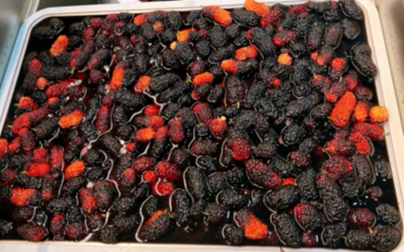 Bí quyết ngâm dưa tắm để lâu không mốc hỏng, lên men ngon cho mùa hè