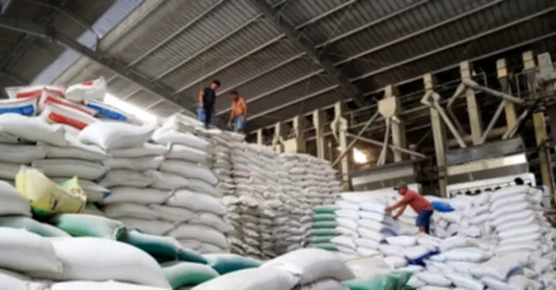 Bị sa thải vì giám định lỗ gạo gây thiệt hại tiền tỷ, người lao động thưa kiện