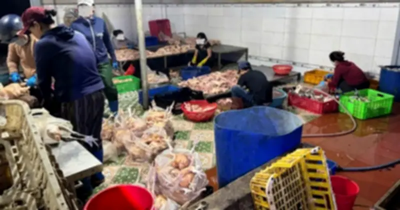 Bộ Tư pháp công bố hồ sơ thẩm định dự thảo Nghị định xử phạt vi phạm an toàn thực phẩm