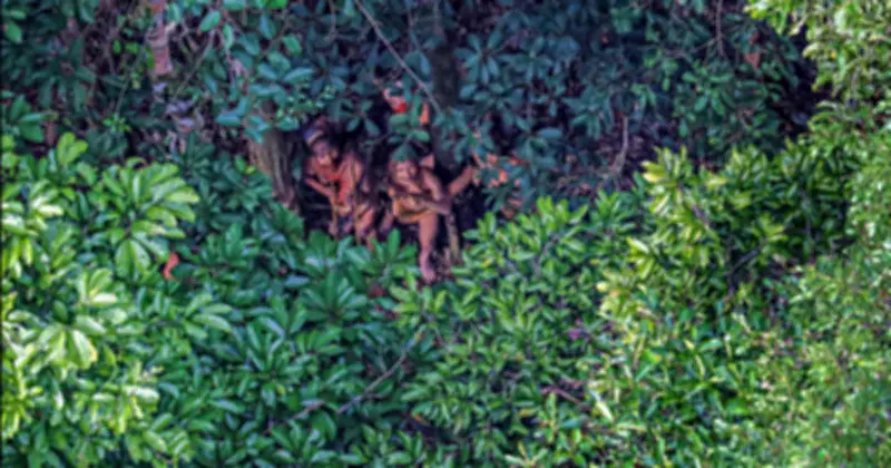 Bộ tộc Awá ở Amazon: Sống giữa hai thế giới truyền thống và hiện đại