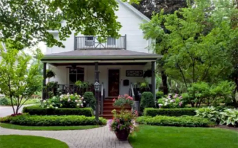 Bố Trí Cây Cảnh Trước Nhà Đúng Cách: Bí Quyết Đón Tài Lộc Vào Nhà