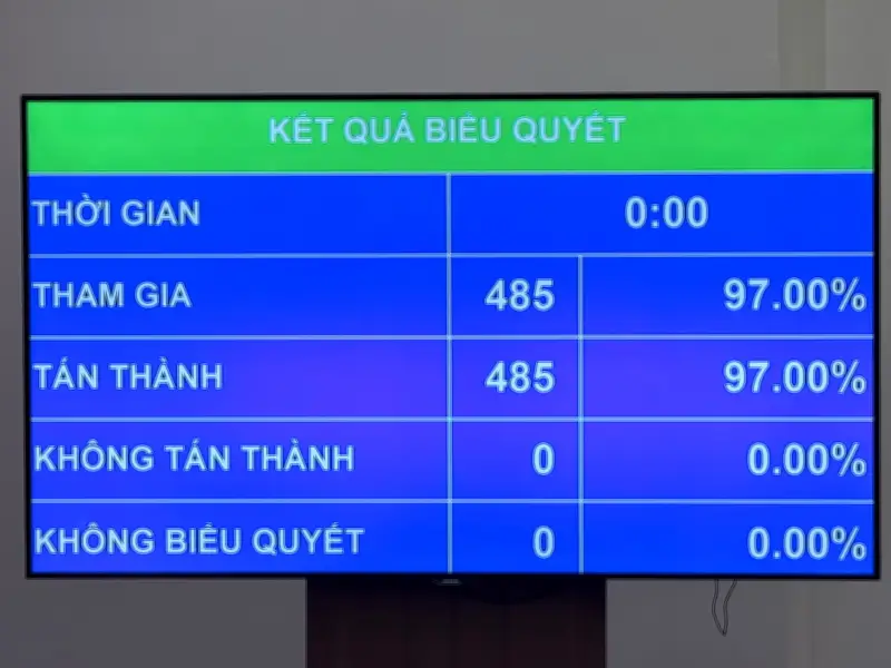 Bà Võ Thị Ánh Xuân được Quốc hội bầu giữ chức Phó Chủ tịch nước