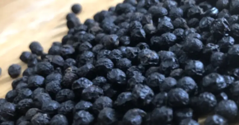 Ba quốc gia ồ ạt gom mua một loại hạt của Việt Nam