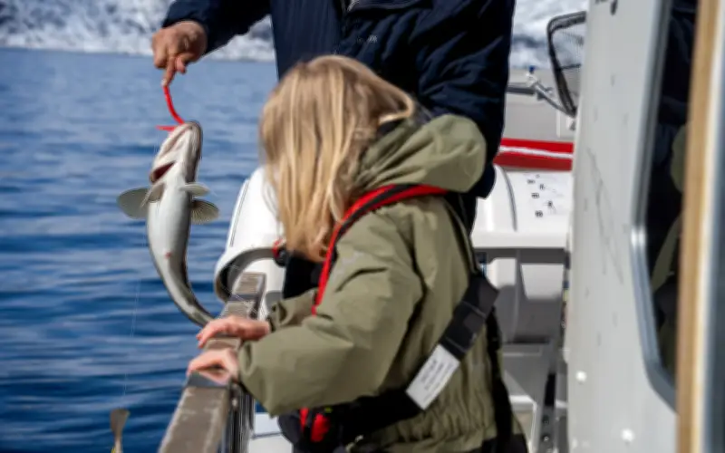 Ba yếu tố quyết định chất lượng DHA: Nguồn nguyên liệu, kiểm định và độ tươi