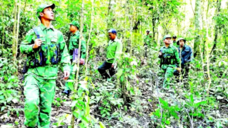 Ban Quản lý Rừng phòng hộ Vành đai biên giới Lâm Đồng: Bảo vệ hơn 16.000 ha rừng nhạy cảm
