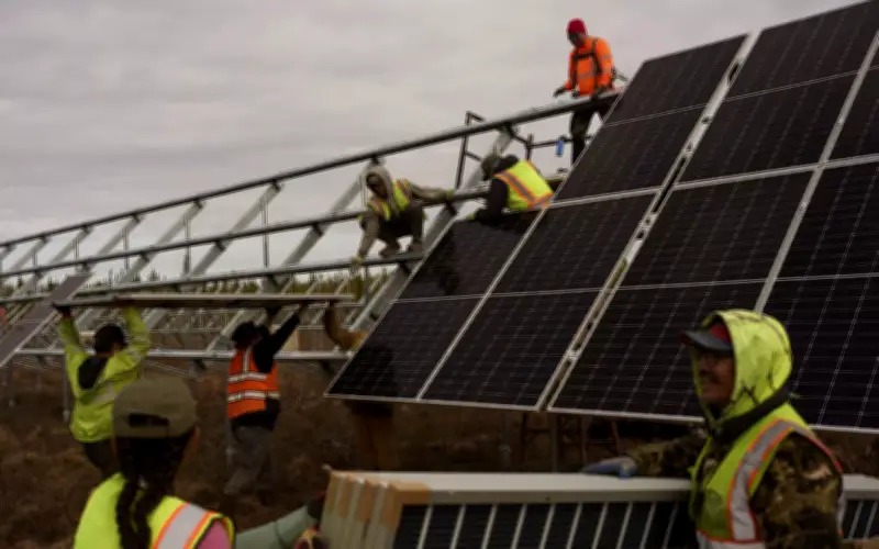 Bắc Cực - Mặt Trận Mới Đầy Tiềm Năng Cho Công Nghệ Điện Mặt Trời