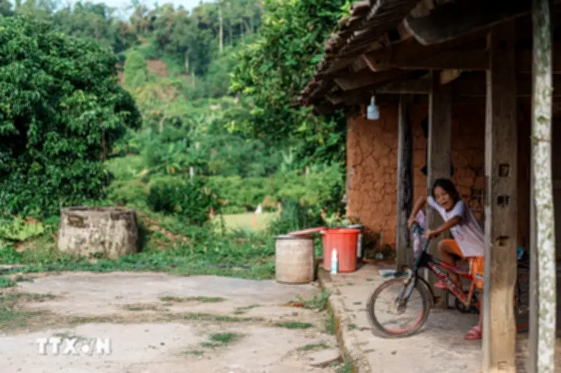 Bắc Họa: Vẻ đẹp nguyên sơ từ nếp nhà đến nhịp sống bản địa ở Bắc Ninh