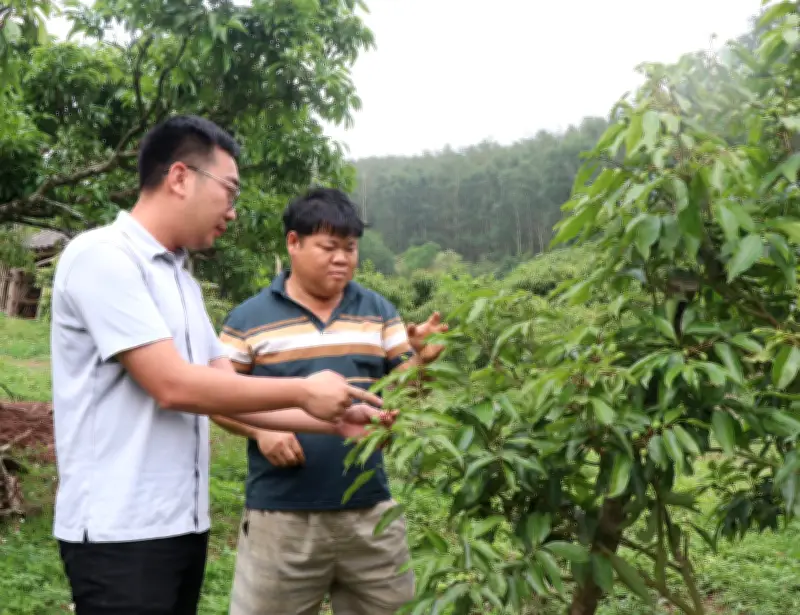 Bắc Ninh ký kết biên bản thỏa thuận hợp tác tiêu thụ vải thiều năm 2026