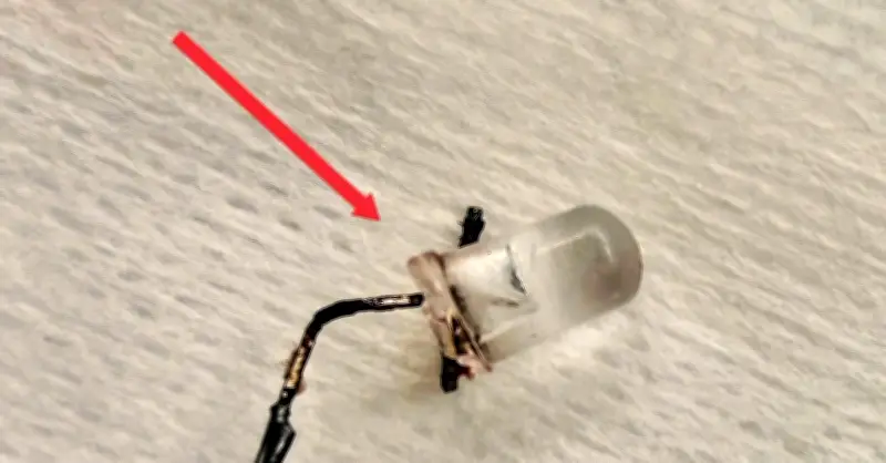 Bác sĩ gắp thành công bóng đèn LED trong phế quản bé 9 tháng tuổi