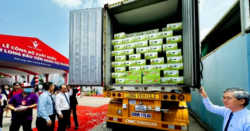 Bưởi Da Xanh Vĩnh Long Chính Thức Xuất Khẩu Sang Úc, Mở Ra Cơ Hội Mới Cho Nông Sản Việt